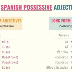 Adjectives possessive spanish worksheet worksheets visit