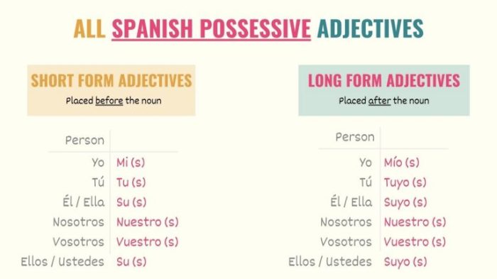 Adjectives possessive spanish worksheet worksheets visit