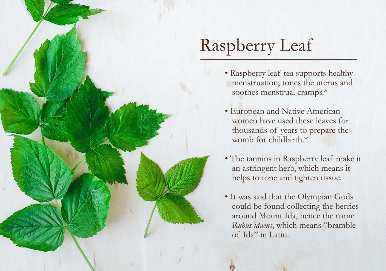 Red raspberry leaf smoking benefits