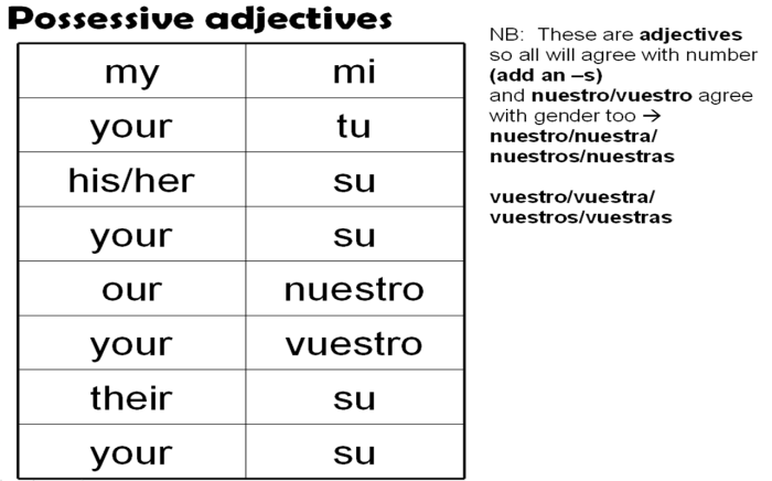 Possessive adjectives in spanish worksheet