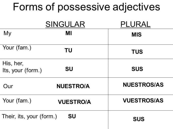 Possessive adjectives in spanish worksheet