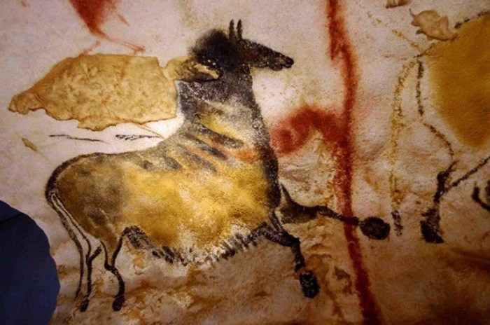 The animals painted in the lascaux caves were apex